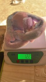 Soft Plush Winter Earmuffs for Kids (1 Pc) - Image 11