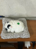 Sleeping Cat Soft Plush Toy Cushion for Desk, Car Dashboard & Home Decor - Image 6