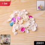 Decorative Seashells Set  (1 Set) - Image 2