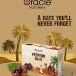 Oracle Premium Kalmi Dates – Naturally Rich, Soft & Chewy Luxury Dates (500Gm)