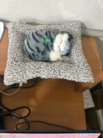 Sleeping Cat Plush Toy with Cushion for Car Dashboard, Home Decor Showpiece - Image 6