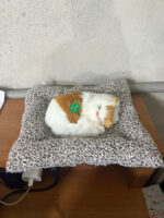 Sleeping Cat Car Dashboard Decor Soft Plush Showpiece for Auto Interior - Image 6