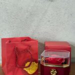 Rose Jewellery Box Gift with Transparent Lid & Premium Storage Case - Image 5