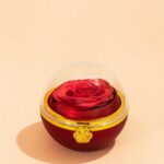 Rose Dome Jewellery Box Gift with Luxury Storage Case - Image 3