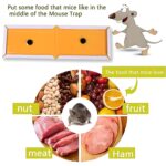 PCI Cardboard Troublegum Small Size Mouse Trap-10Pc - Image 4