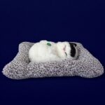 Sleeping Cat Showpiece on Cushion for Home, Office Desk & Car Dashboard Decor - Image 3