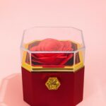 Rose Jewellery Box Gift with Transparent Lid & Premium Storage Case - Image 2