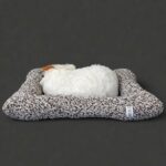 Sleeping Cat Showpiece on Soft Cushion for Home & Office Desk Decor - Image 3