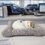Sleeping Cat Showpiece on Soft Cushion for Home & Office Desk Decor