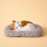 Sleeping Orange White Cat Car Dashboard Plush Cute Soft Toy Showpiece Decor - Image 3