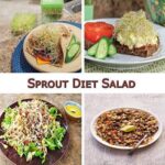 4 CONTAINER LAYER SPROUT BOWL MAKER - Image 2