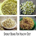 4 CONTAINER LAYER SPROUT BOWL MAKER - Image 6