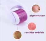 SKIN DERMA ROLLER - Image 2