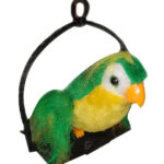 TALK BACK PARROT