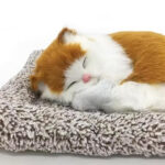 Sleeping Cat - Image 2