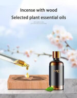 Airplane Air Freshner - Image 2