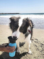AQUA DOG WATER BOTTLE - Image 2