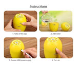 Lemon Humidifier - Image 2