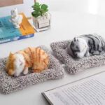 Sleeping Cat - Image 3