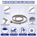 DOG COLLAR - Image 10