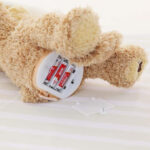 PEEK A BOO TOY TEDDY - Image 4