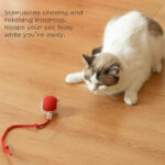 Rolling Pet Ball - Image 5