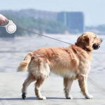 Dog Leash - Image 6