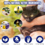 DOG COLLAR - Image 5