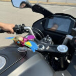 Flying Bird - Image 6