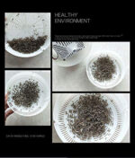 3D MOSQUITO KILLING LAMP - Image 6