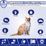 DOG COLLAR - Image 7