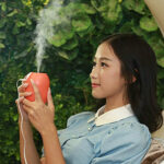 Lemon Humidifier - Image 5