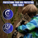 DOG COLLAR - Image 8