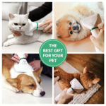 PET GROOMING DRYER - Image 7