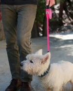 Dog Leash - Image 9