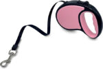 Dog Leash