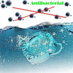 BIG MOMOS MAKER - Image 4