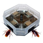 COCKROACH TRAP BOX - Image 5