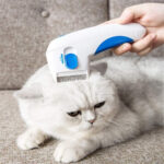 FLEA DOCTOR - Image 4