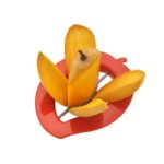 MANGO CUTTER - Image 4