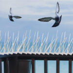 PIGEON SPIKES (12 INCH) - Image 2