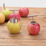 STAINLESS STEEL APPLE CORE REMOVER SALAD TOOLS - Image 5