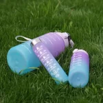 MOTIVATIONAL WATER BOTTLES(SET OF 3)