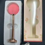 FACE SPA MASSAGER WITH STAND
